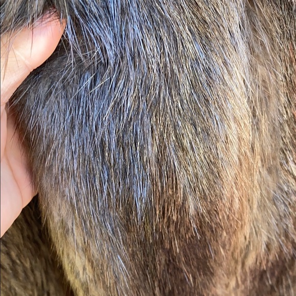 Arpin fur coat - Picture 4 of 5